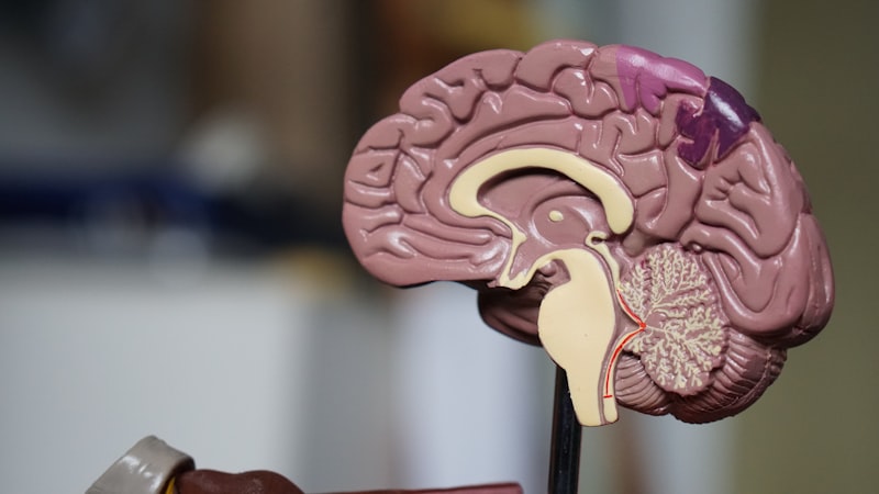 Aplicaciones de neurotecnología clínica