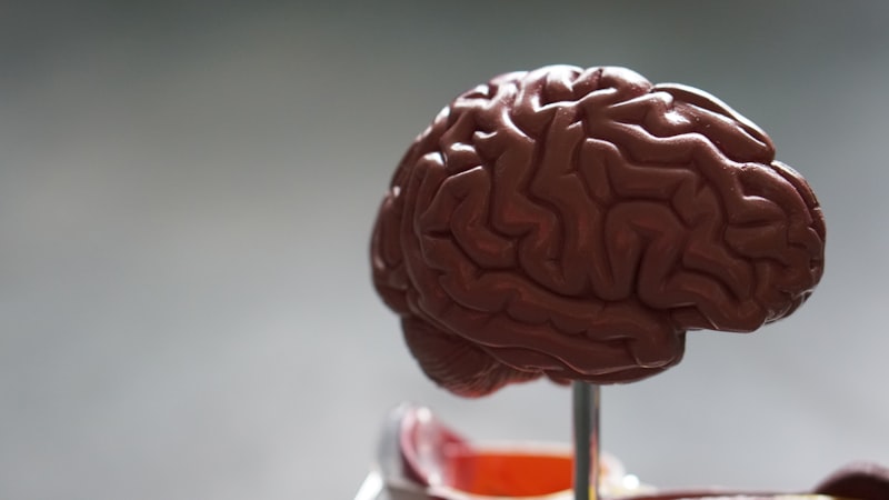 Equipo especializado en neurotecnología clínica